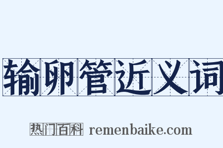 输卵管近义词是什么意思的图片